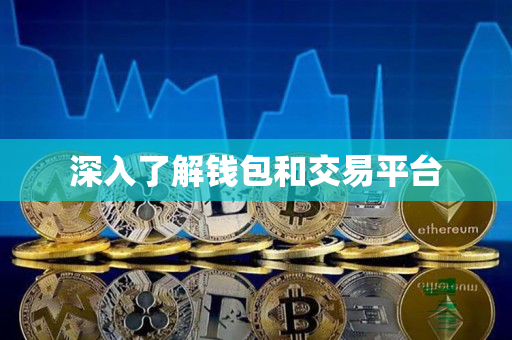 深入了解钱包和交易平台