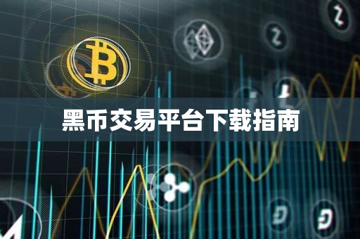 黑币交易平台下载指南 黑币交易平台下载指南