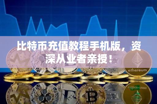比特币充值教程手机版，资深从业者亲授！