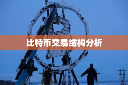 比特币交易结构分析 比特币交易结构分析