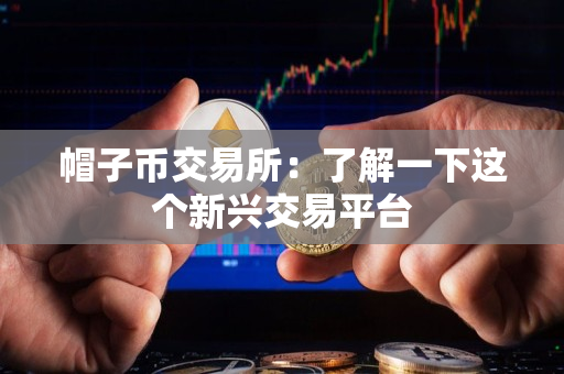 帽子币交易所:了解一下这个新兴交易平台 帽子币交易所:了解一下这个新兴交易平台