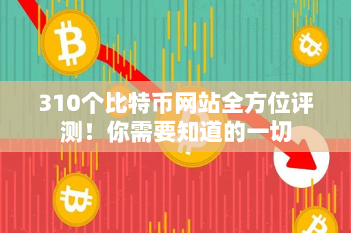310个比特币网站全方位评测！你需要知道的一切