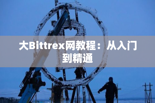 大Bittrex网教程：从入门到精通