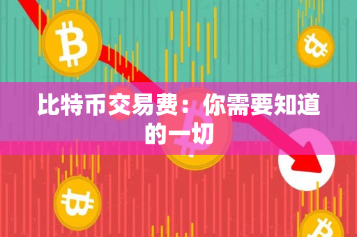 比特币交易费:你需要知道的一切 比特币交易费:你需要知道的一切