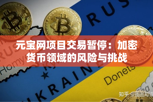 元宝网项目交易暂停:加密货币领域的风险与挑战 元宝网项目交易暂停:加密货币领域的风险与挑战