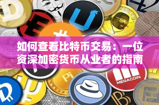如何查看比特币交易:一位资深加密货币从业者的指南 如何查看比特币交易:一位资深加密货币从业者的指南