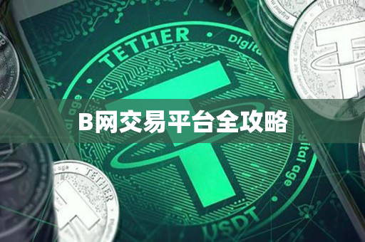 B网交易平台全攻略 B网交易平台全攻略