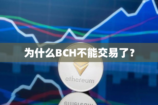 为什么BCH不能交易了？