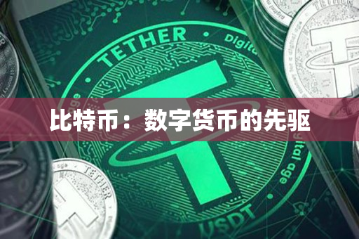 比特币:数字货币的先驱 比特币:数字货币的先驱