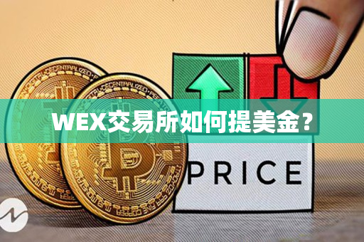WEX交易所如何提美金？
