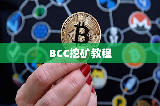 BCC挖矿教程