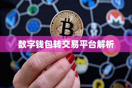数字钱包转交易平台解析 数字钱包转交易平台解析