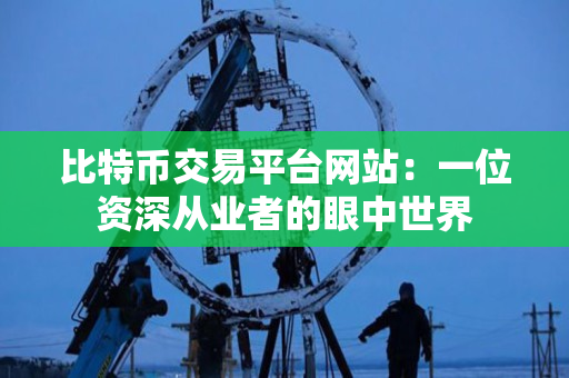 比特币交易平台网站：一位资深从业者的眼中世界