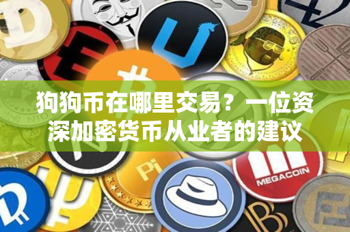狗狗币在哪里交易？一位资深加密货币从业者的建议