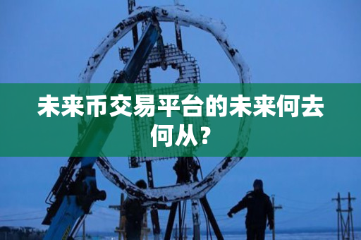 未来币交易平台的未来何去何从? 未来币交易平台的未来何去何从?