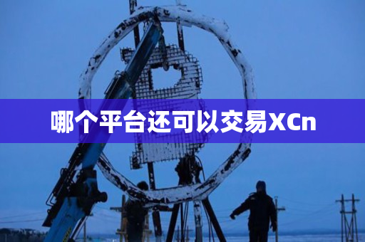哪个平台还可以交易XCn