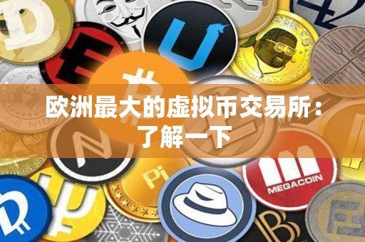 欧洲最大的虚拟币交易所：了解一下