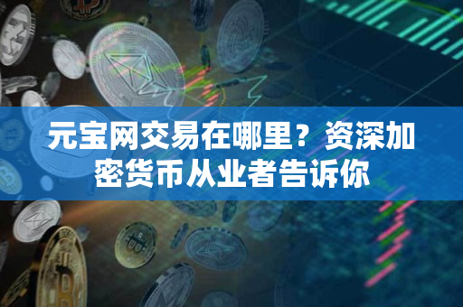 元宝网交易在哪里?资深加密货币从业者告诉你 元宝网交易在哪里?资深加密货币从业者告诉你