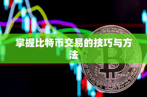 掌握比特币交易的技巧与方法 掌握比特币交易的技巧与方法