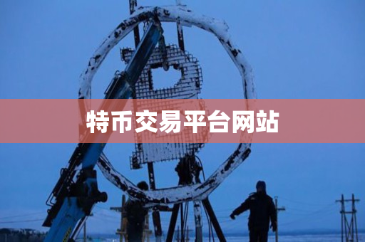 特币交易平台网站 特币交易平台网站