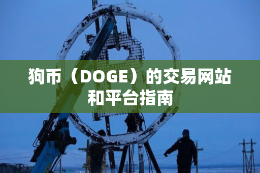 狗币（DOGE）的交易网站和平台指南