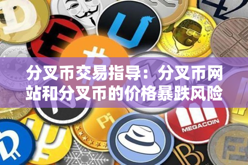 分叉币交易指导:分叉币网站和分叉币的价格暴跌风险 分叉币交易指导:分叉币网站和分叉币的价格暴跌风险