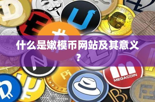 什么是嫩模币网站及其意义？
