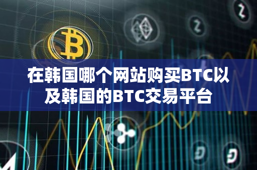 在韩国哪个网站购买BTC以及韩国的BTC交易平台 在韩国哪个网站购买BTC以及韩国的BTC交易平台