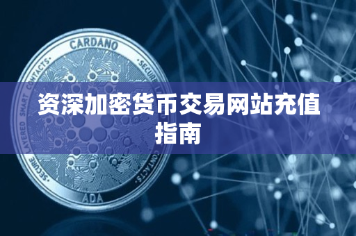 资深加密货币交易网站充值指南