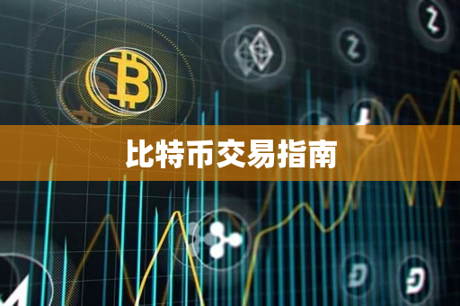 比特币交易指南 比特币交易指南