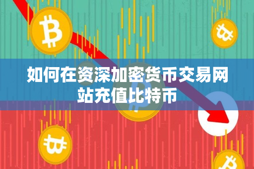 如何在资深加密货币交易网站充值比特币