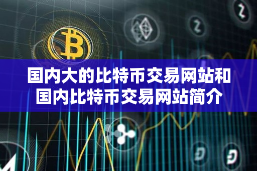 国内大的比特币交易网站和国内比特币交易网站简介
