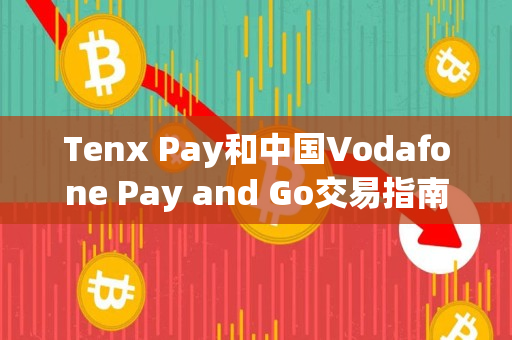 Tenx Pay和中国Vodafone Pay and Go交易指南