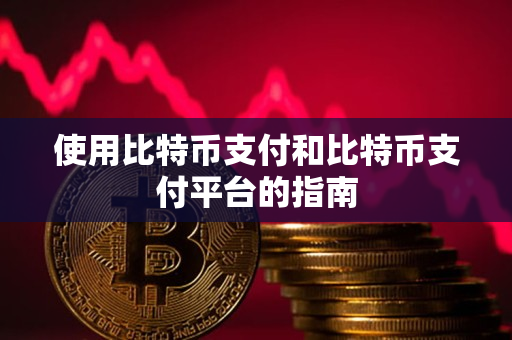 使用比特币支付和比特币支付平台的指南