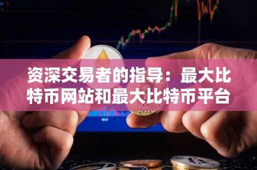 资深交易者的指导：最大比特币网站和最大比特币平台