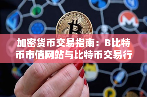 加密货币交易指南：B比特币市值网站与比特币交易行情网