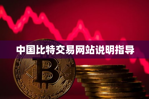 中国比特交易网站说明指导