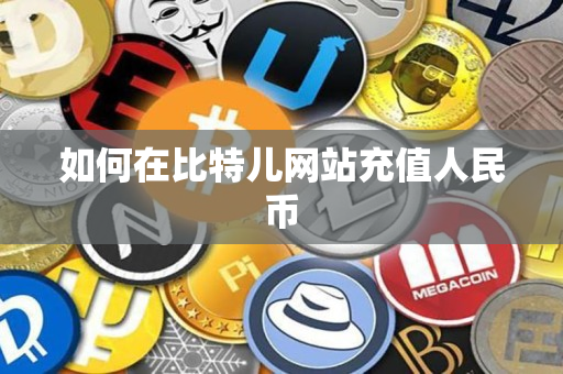 如何在比特儿网站充值人民币 如何在比特儿网站充值人民币