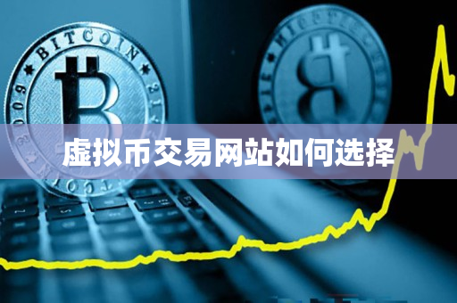 虚拟币交易网站如何选择 虚拟币交易网站如何选择