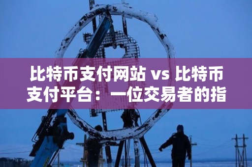 比特币支付网站 vs 比特币支付平台:一位交易者的指导 比特币支付网站 vs 比特币支付平台:一位交易者的指导