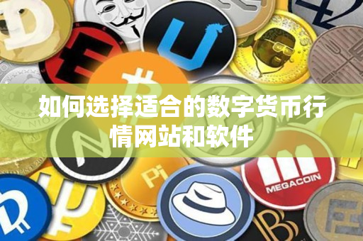 如何选择适合的数字货币行情网站和软件 如何选择适合的数字货币行情网站和软件