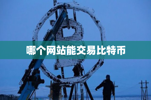 哪个网站能交易比特币
