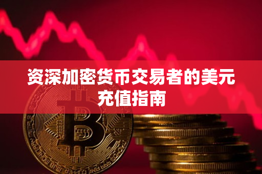 资深加密货币交易者的美元充值指南
