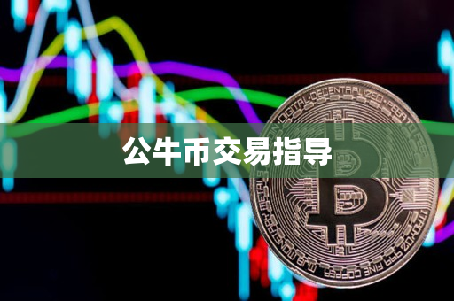 公牛币交易指导