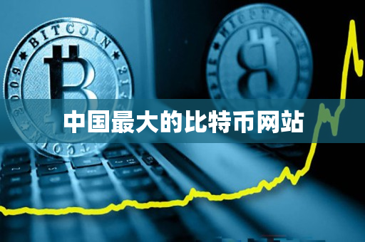 中国最大的比特币网站