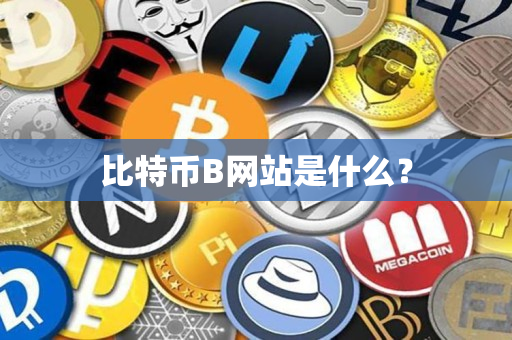比特币B网站是什么? 比特币B网站是什么?