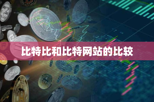 比特比和比特网站的比较