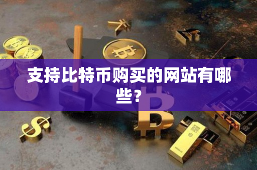 支持比特币购买的网站有哪些? 支持比特币购买的网站有哪些?