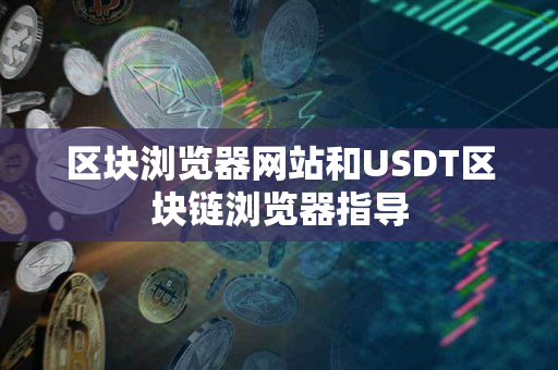 区块浏览器网站和USDT区块链浏览器指导 区块浏览器网站和USDT区块链浏览器指导
