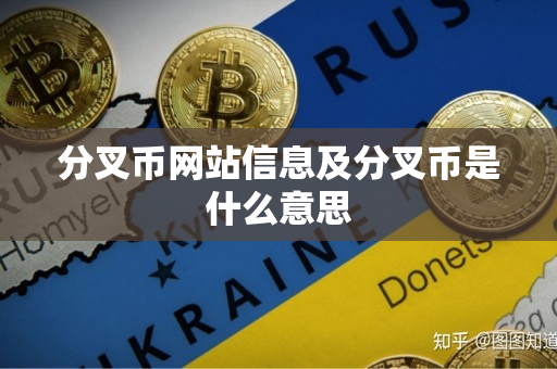 分叉币网站信息及分叉币是什么意思